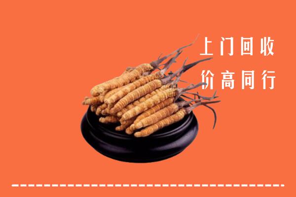高价求购：叙州区回收散虫草