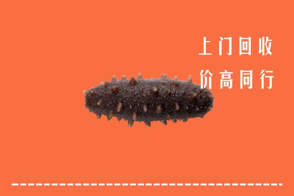 高价求购：叙州区回收海参