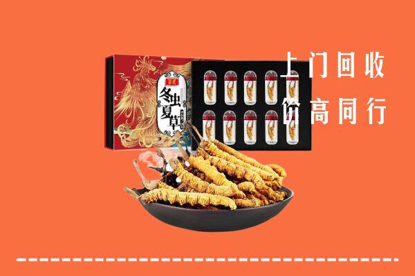 叙州区回收虫草